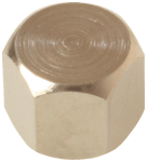 1/4 Female Blanking Cap - 43525