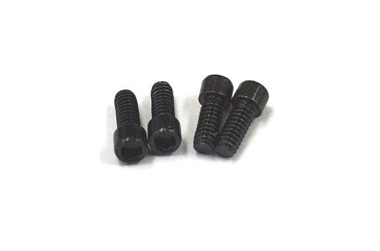 Reve D M2 x 5mm Cap Screw 4pcs RC-001